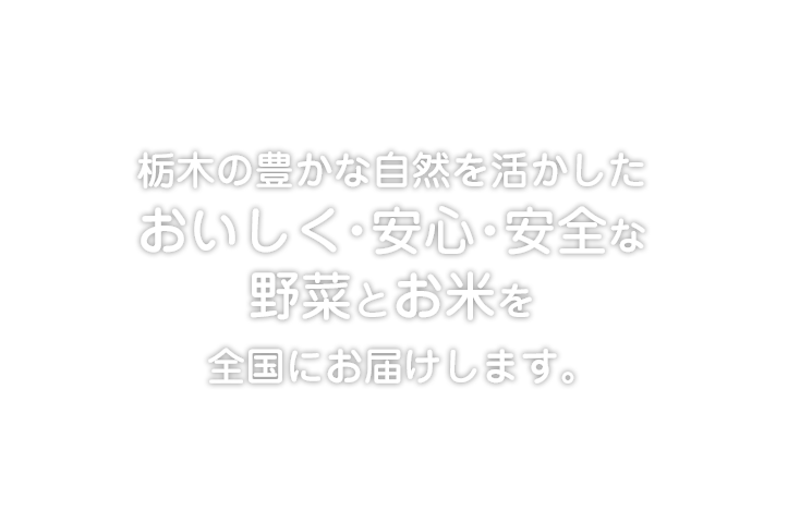 栃木の豊かな自然を活かしたおいしく・安心・安全な野菜とお米を全国にお届けします。